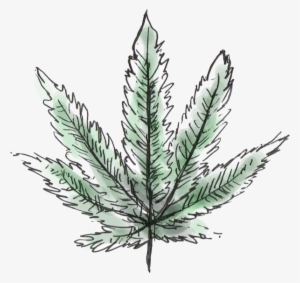 Why Legalizing And Decriminalizing Cannabis Is Crucial - Illustration