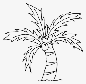 Drawing Picture Of Coconut Tree - Coconut Tree Sketch Png