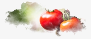 Production Steps - Plum Tomato
