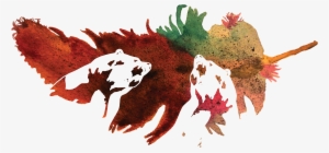 The Polar Bears Began To Lose His Identity After His - Cake