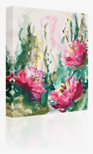 Hibiscus - Peony
