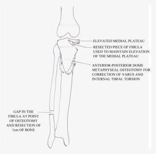 White Square Evidenced By Its Selection Of Styles, - Shelf