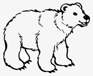 Young Polar Bear Svg Clip Arts 600 X 488 Px
