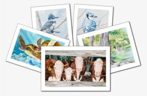 Artist Cards - Canoe