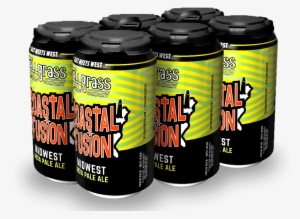 Blueberry Lemon Beer