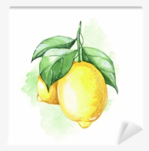 Watercolor Illustration - Limones Acuarelas