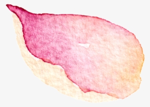 This Graphics Is Falling Petals Transparent Decorative - Watercolor Painting