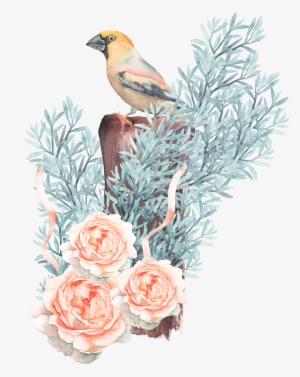 Bird Watercolor Painting Drawing Flower