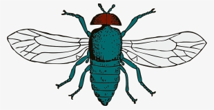 Fly Svg Clip Arts 600 X 310 Px