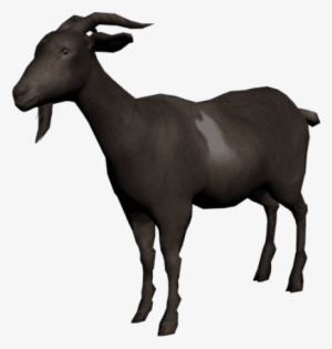 Free Png Goat Photo Png Images Transparent - Red Dead Redemption Goat