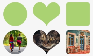 But In This Tutorial Series, I'll Be Talking About - Tabby Cat