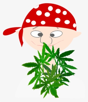 Pirate, Boy, Avatar, Cannabis, Euphoria, Marijuana - Pirata Con Marihuana