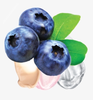 Files/slider Tile Blueberry