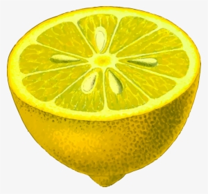 Lemon Clipart Png - Half Lemon