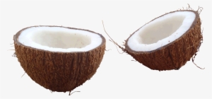 Coconut Clipart Transparent Tumblr - Coconut Png