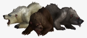 Bear - Turkey Vulture