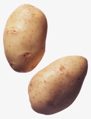 Картофель Png