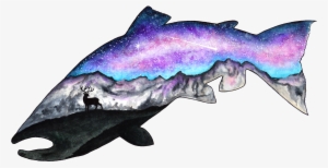 For June 2017, I Will Have It Available In The Shop, - Sand Tiger Shark