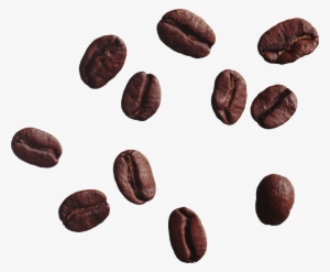 Coffee Png Photo - Coffee Bean Png
