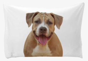 Personalized Pillow Case - Dog