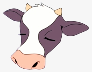 Kaltenecker Voltron Transparent