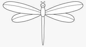 Dragonfly - Dragonfly Cartoon White Png