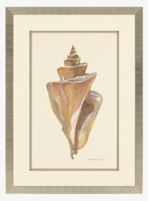 Seashell Sentiment I - Seashell Sentiment I Framed Art, 27"x37", Beige, Posters,