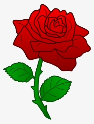 Beautiful Red Rose - Rose Beauty And The Beast Png