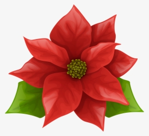 Png Free Stock Christmas Poinsettia Clipart