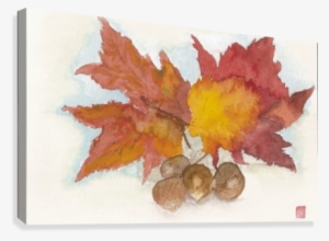 Leaves Canvas Print - Maple Leaf