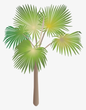 Ian Symbol Pritchardia Minor - Sabal Minor