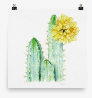 The Fancy Friend - The Next Door Friend