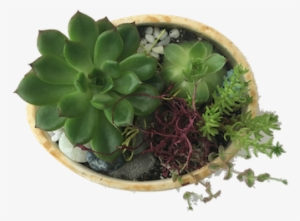 This Is Some Of My Work - Moss