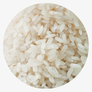 High Quality Greek Rice - Jasmine Rice