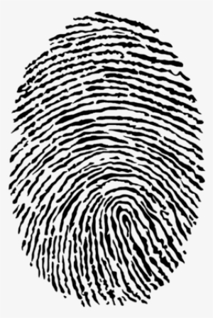 Small Business Branding - Am One With Evm