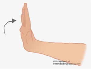 Upper Nerve 26 - Portable Network Graphics