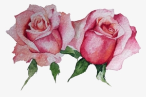 Two Roses In The Style Of Illustration, Rose, Pink, - Rose
