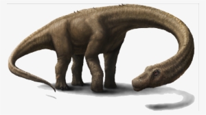 Dinosaur Png Hd - Dinosaur Dreadnoughtus