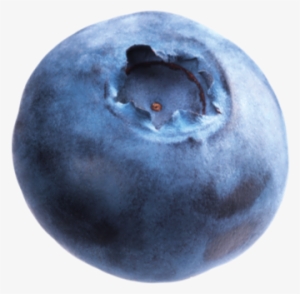 Blueberries Transparent Images - Huckleberry