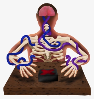 Public Health Emergency