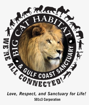 Thank You For Your Support Of Our Mission To Provide - Masai Lion