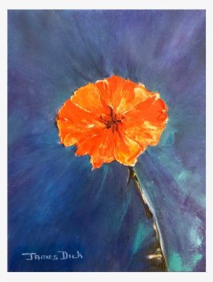 “kallstroemia Grandiflora / Arizona Poppy” By James - Painting