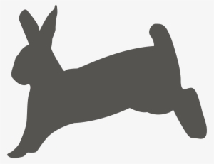 This Free Icons Png Design Of Bunny Hopping