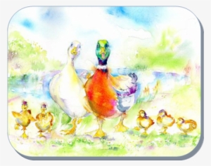 Duck