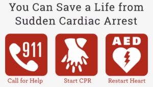 T - Sudden Cardiac Arrest