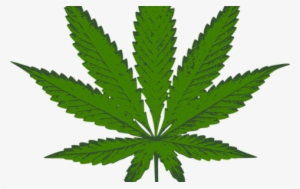 Weed PNG, Free HD Weed Transparent Image , Page 2 - PNGkit