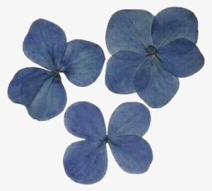 Visit - Dark Grey Purple Aesthetic