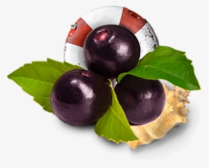 Açai Nole Bowls - Acai Berries