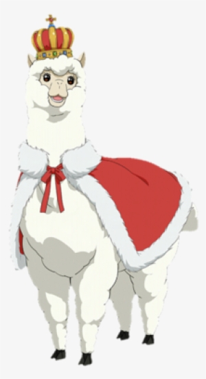 95 Images About Alpaca Obsession 💖 On We Heart It - Alpaca Overlays