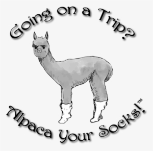 Alpaca Your Socks Our Alpaca And Hemp Blend Socks Are - Cartoon